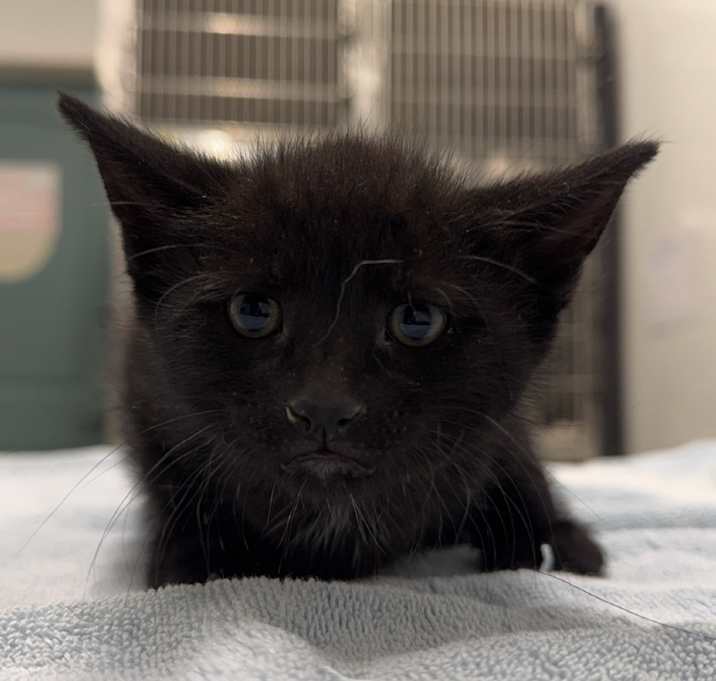 Photo of Stanley
