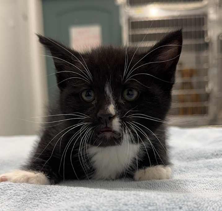 Photo of Barnaby