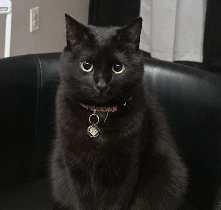 Photo of Stoney
