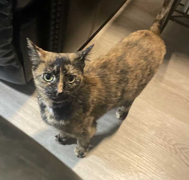Photo of Millie