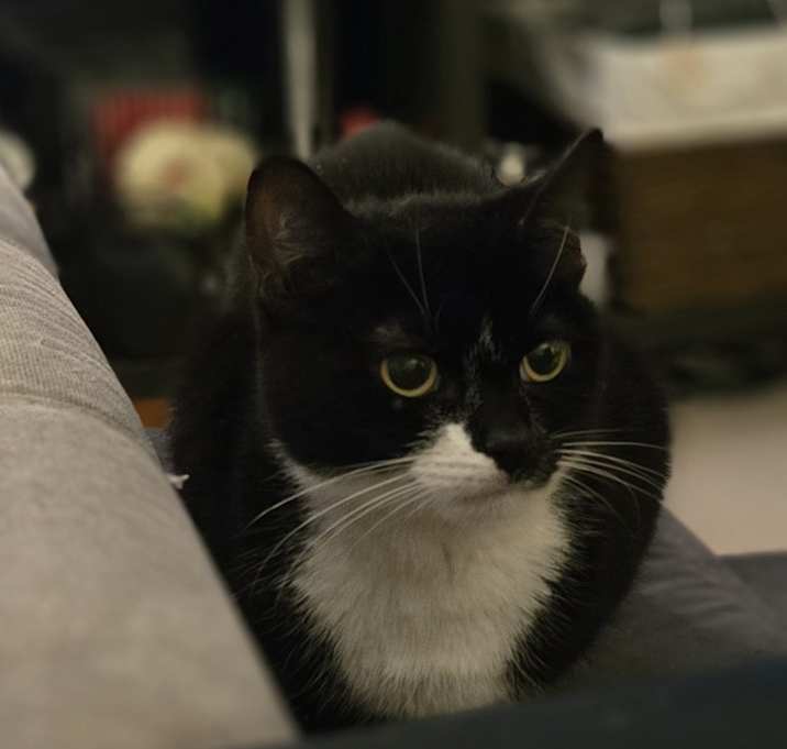 Photo of Cindy "Cat" Clawford