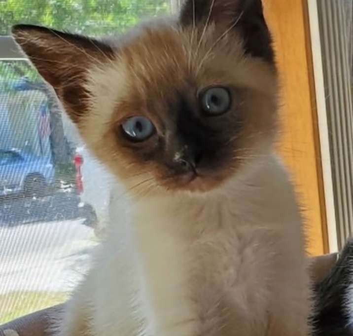 Photo of Louise