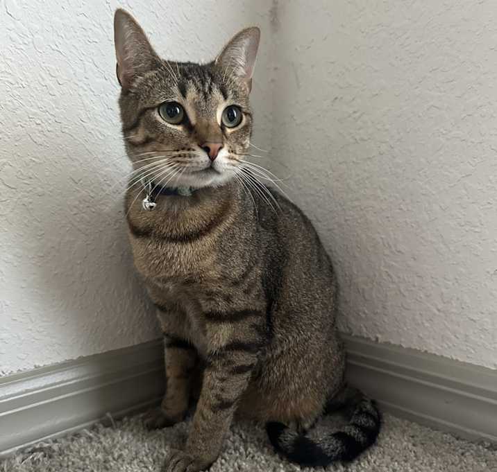 Photo of Marley
