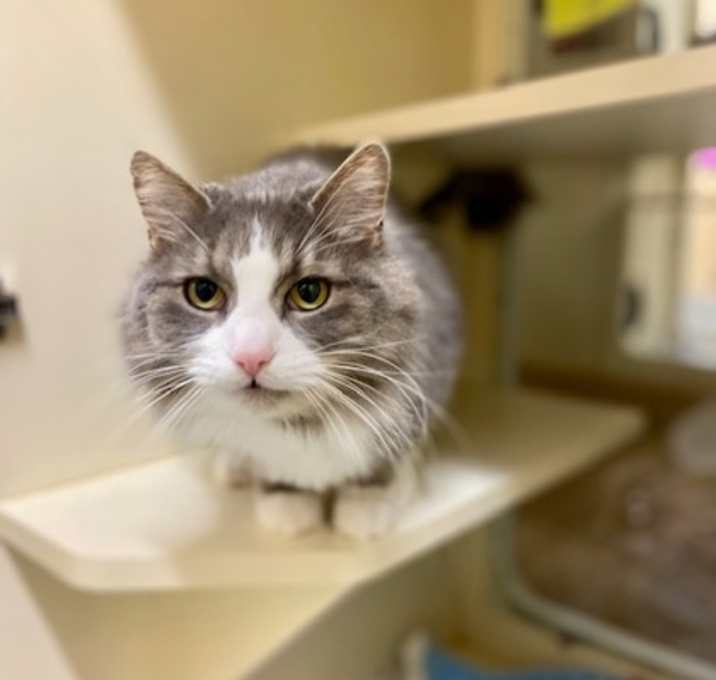Photo of Buggy~24/25-0329