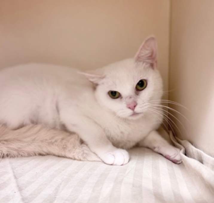 Photo of Juliette~25/26-0028b