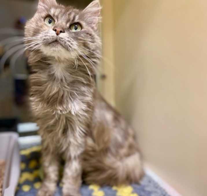 Photo of Francine~25/26-0028d