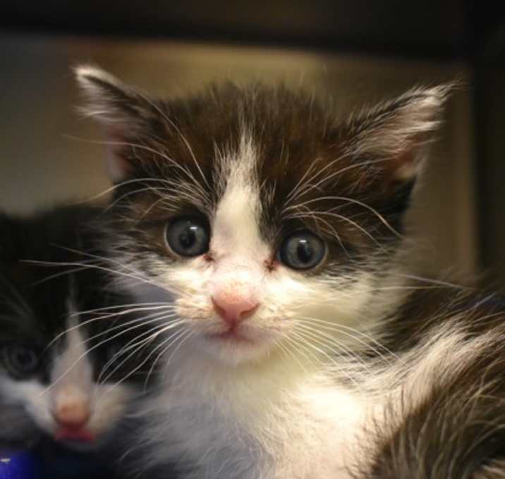 Photo of Groucho