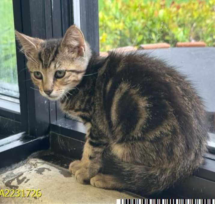 Photo of MERLIN