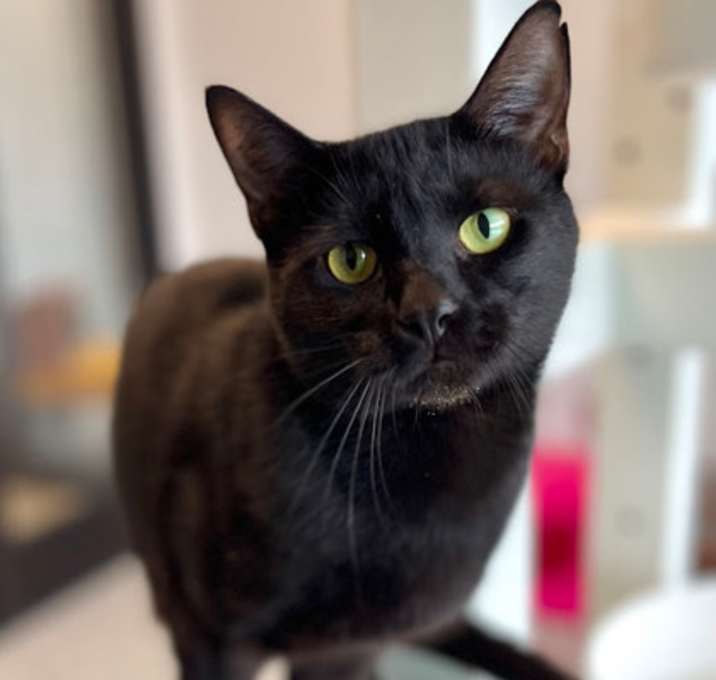 Photo of Inky