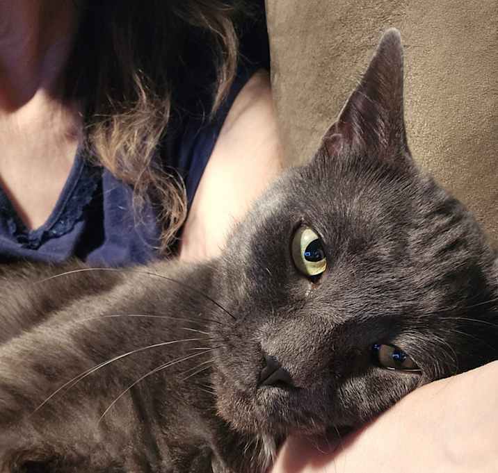 Photo of Frankie