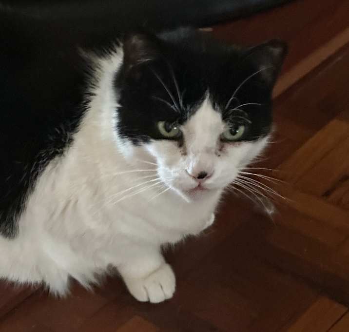 Photo of Lil Bit