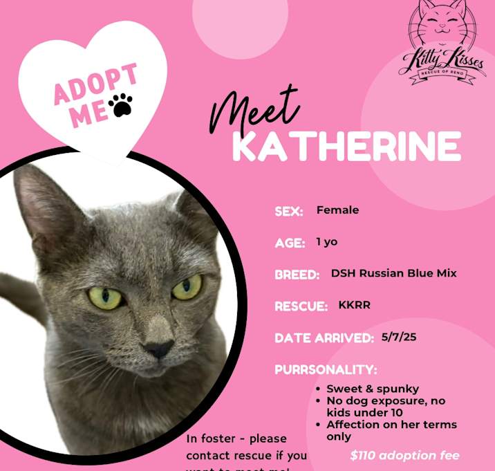Photo of Katherine
