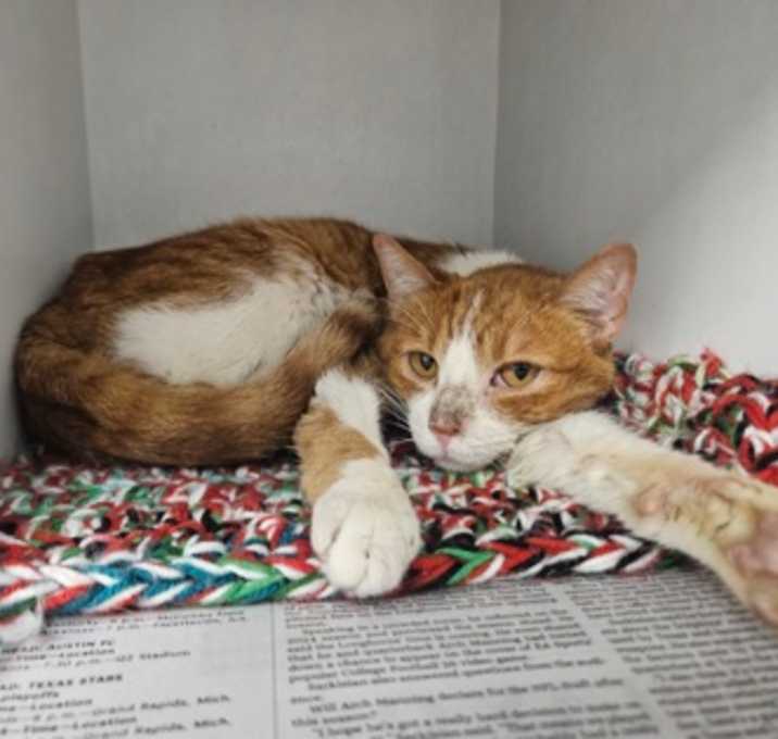 Photo of Oliver