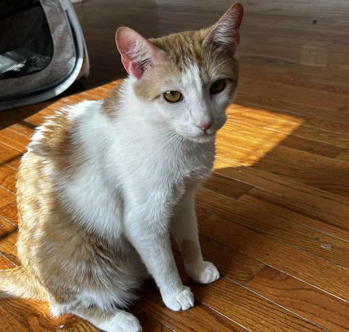 Photo of Alvin