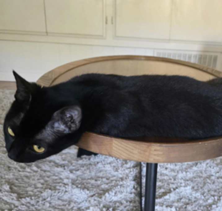 Photo of Blossom