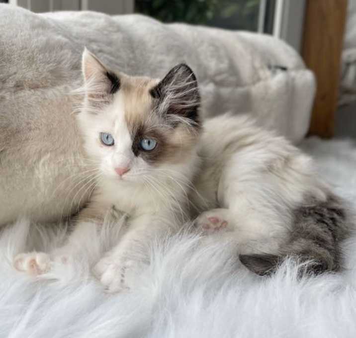 Photo of chloe