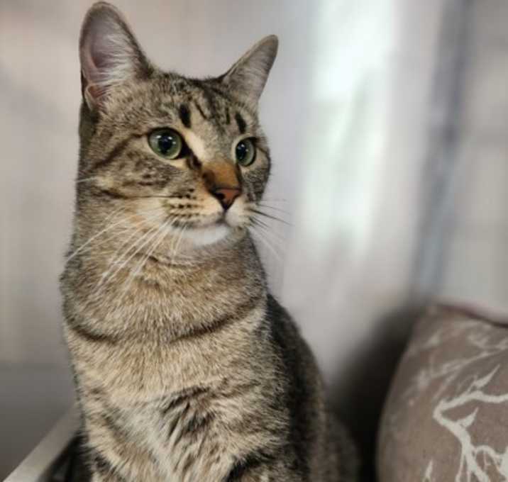 Photo of Buddy