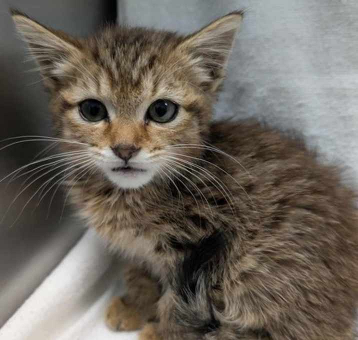 Photo of Heather - At shelter