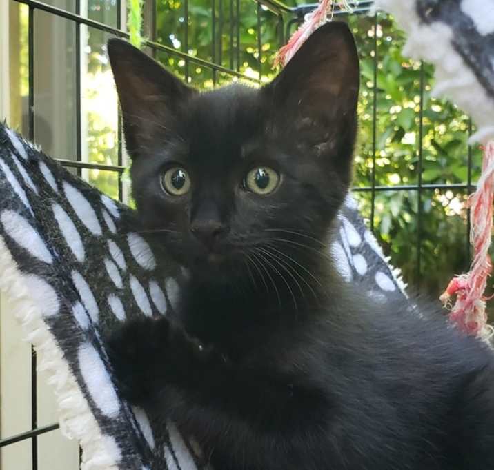 Photo of Cosmo