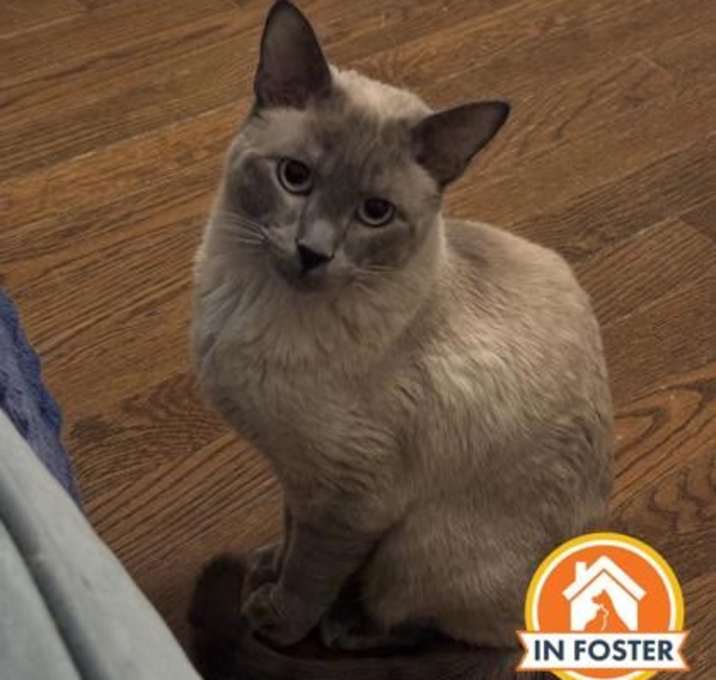 Photo of Milo