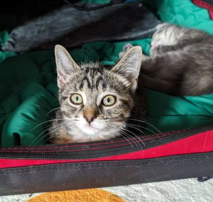 Photo of Bunny