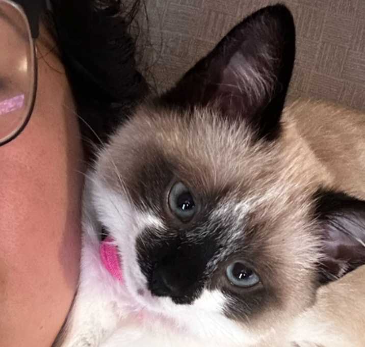 Photo of Luna