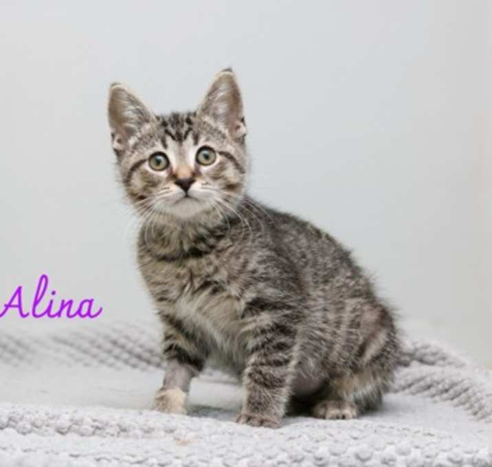 Photo of Alina