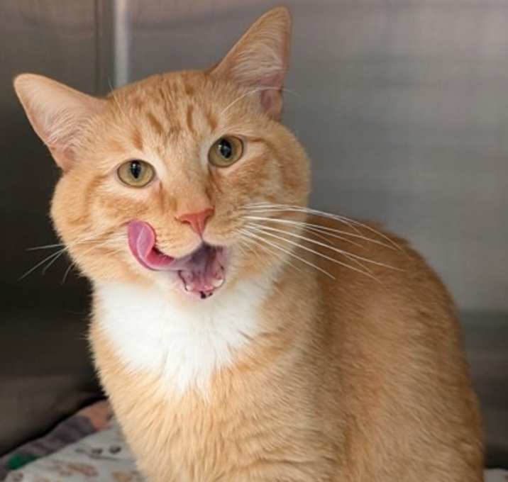 Photo of Stryker