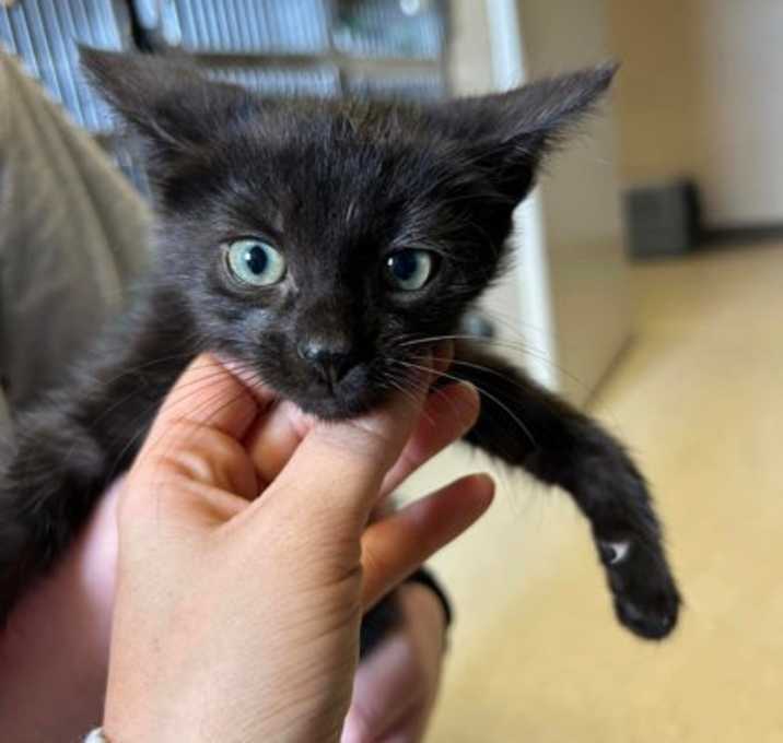 Photo of Wilbur