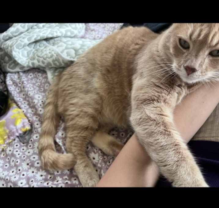 Photo of Roary
