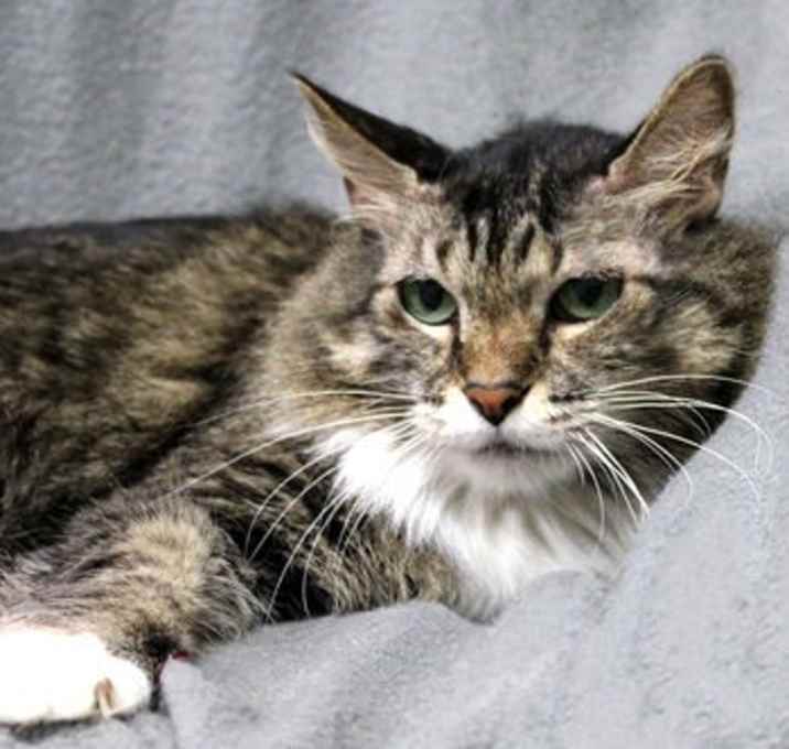 Photo of Gidgette