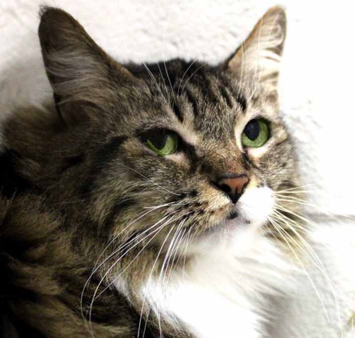 Photo of Bridgette