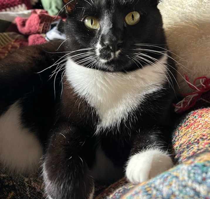 Photo of Toboggan