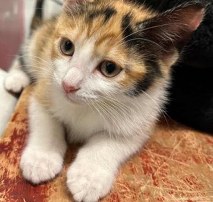 Photo of May Belle