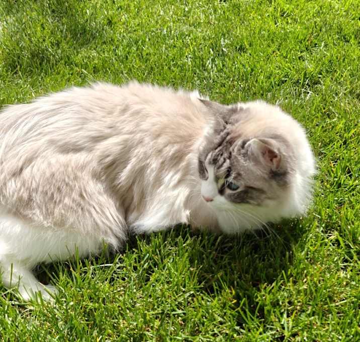 Photo of Coco