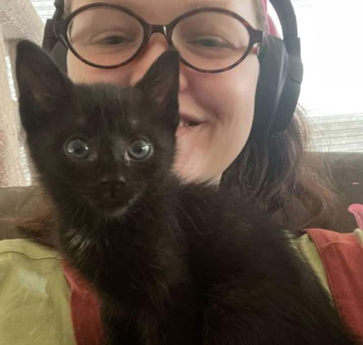 Photo of Artemis (Available for pre-adoption)