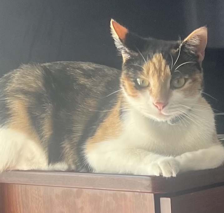 Photo of Cassie