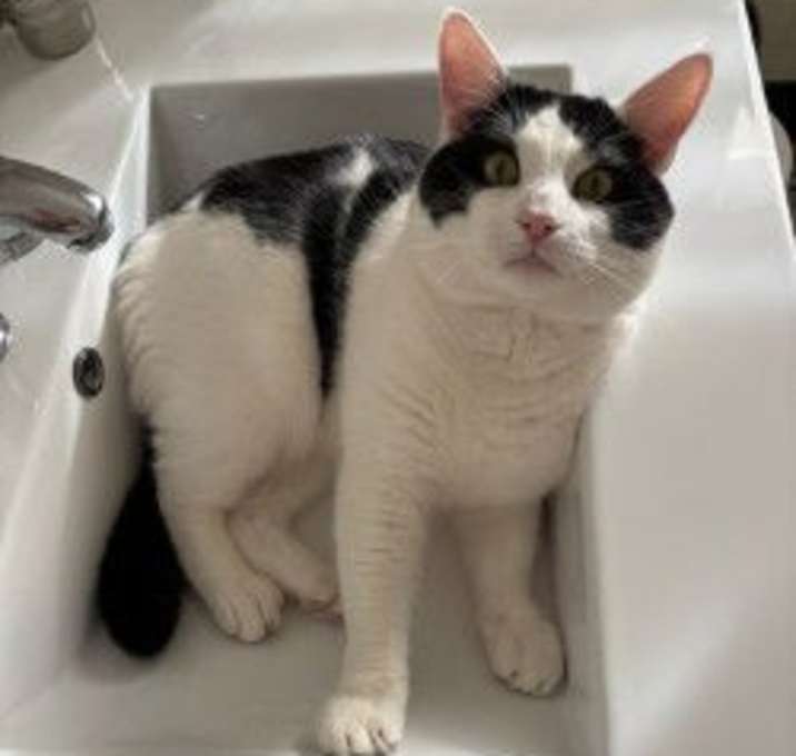 Photo of Captain