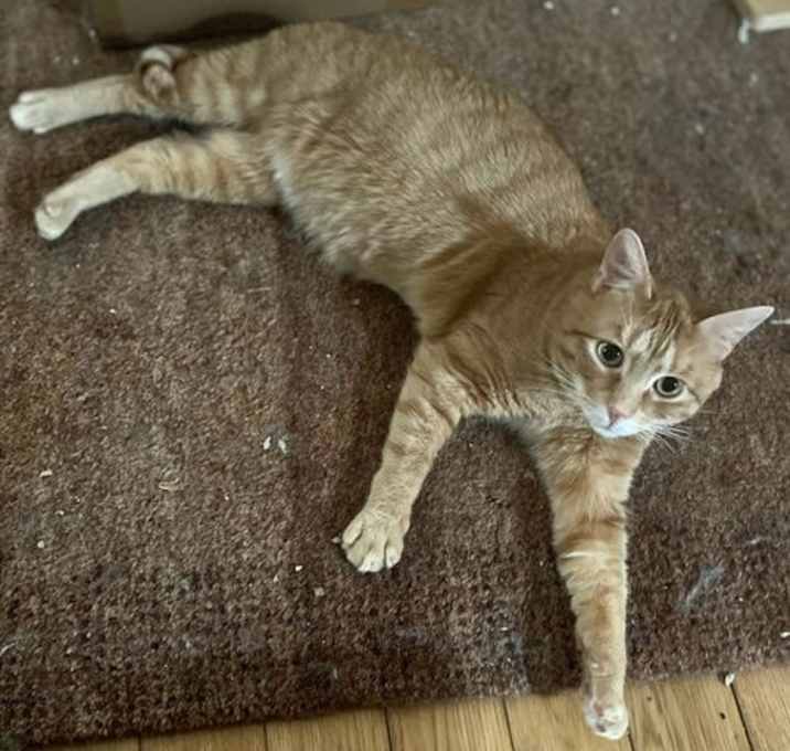 Photo of Puck