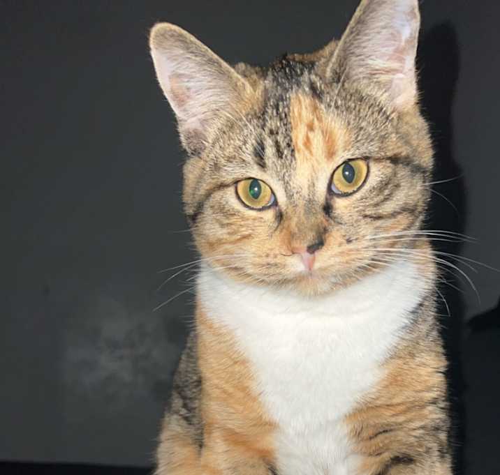 Photo of Zoey