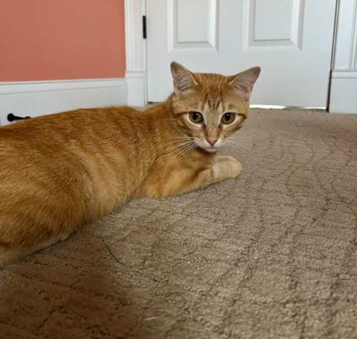 Photo of Talia