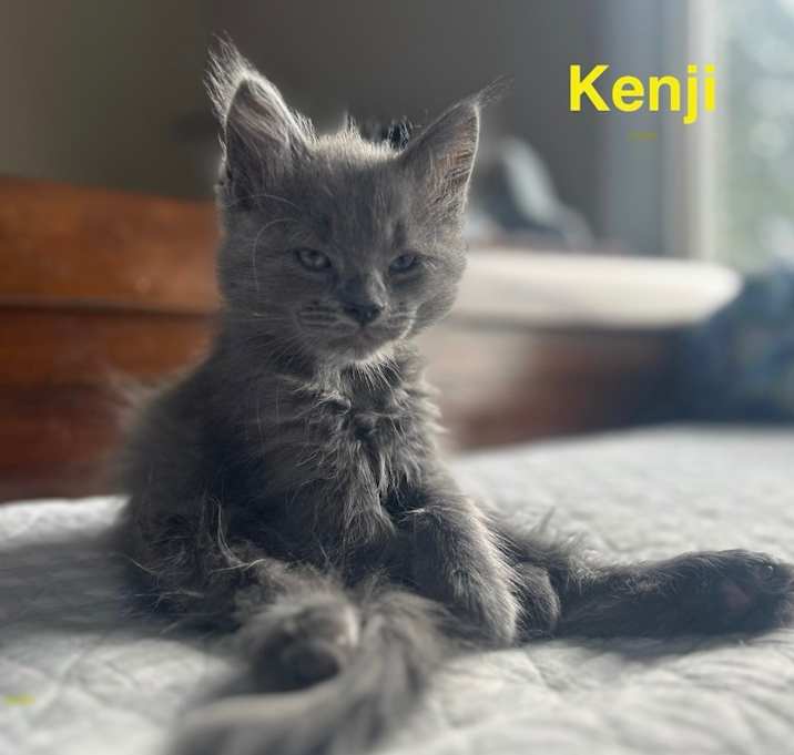 Photo of Kenji