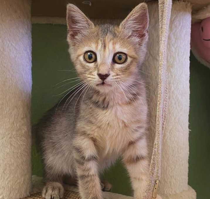 Photo of EVE