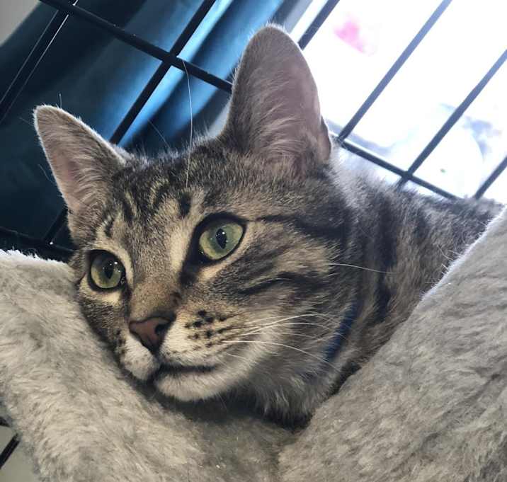 Photo of Xena