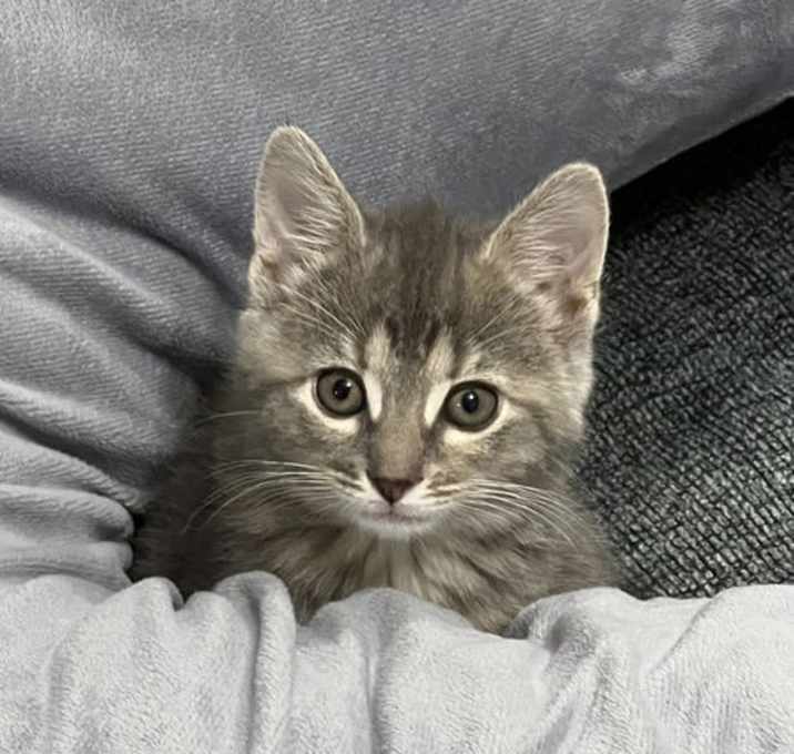 Photo of Pippa