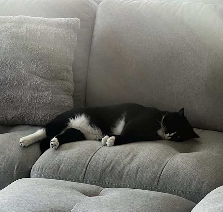 Photo of Lily