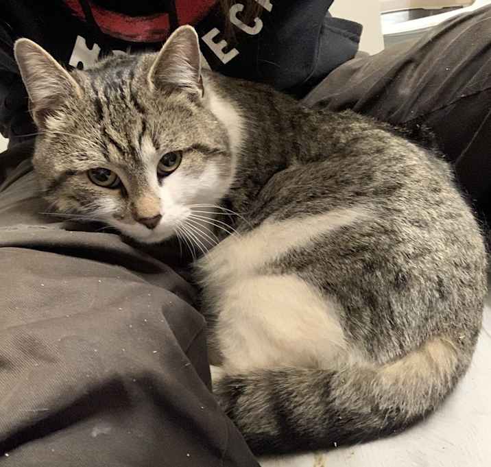 Photo of Dumpling
