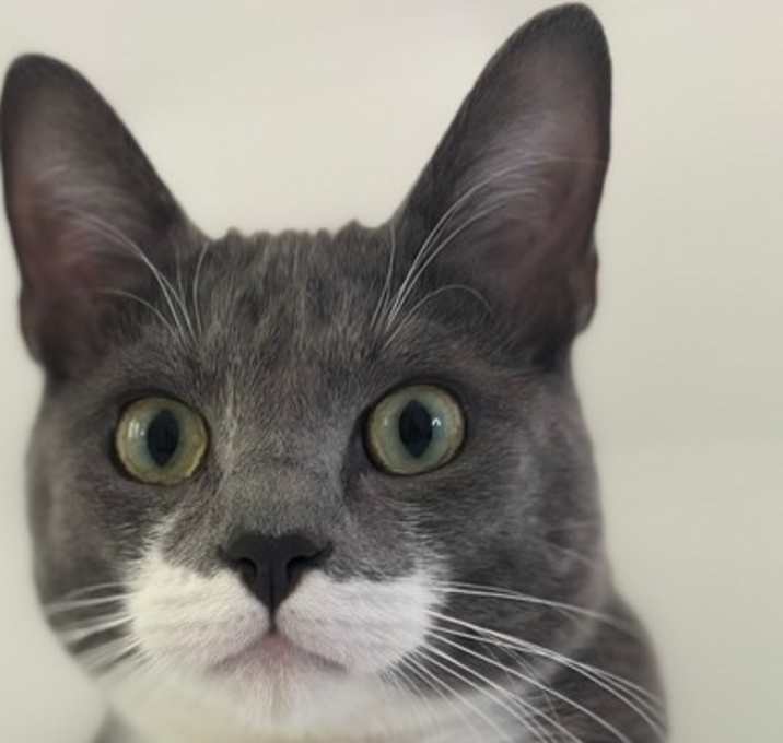 Photo of Nimbus