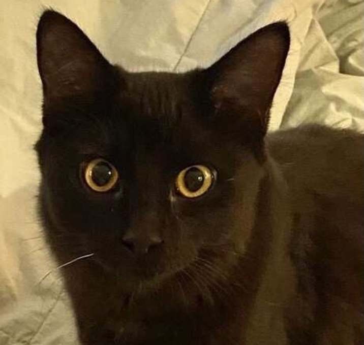 Photo of GiGi