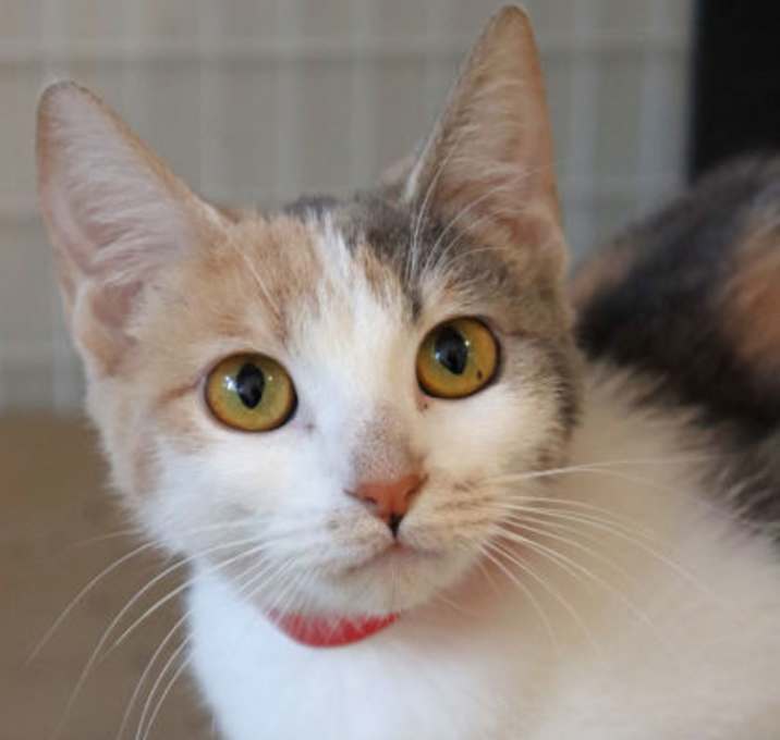 Photo of Holly